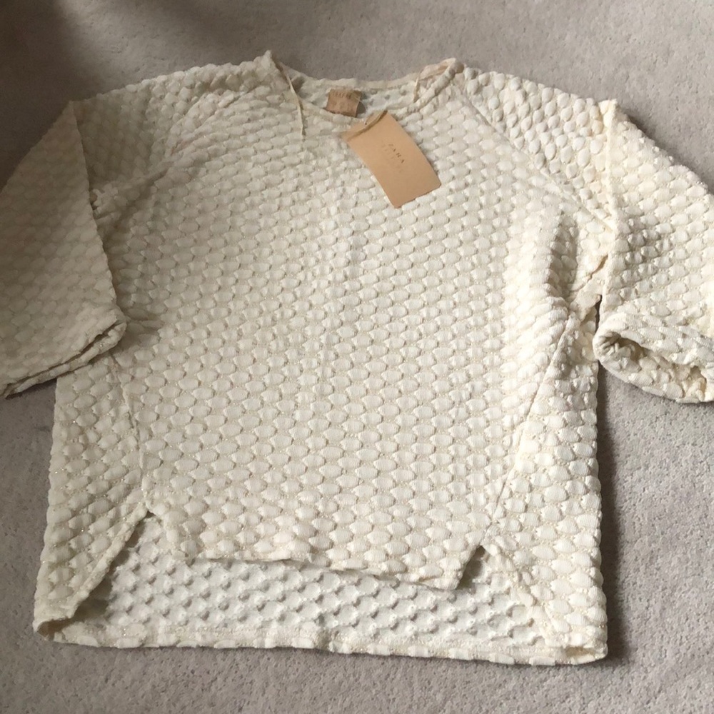 Gold threaded Zara sweater!